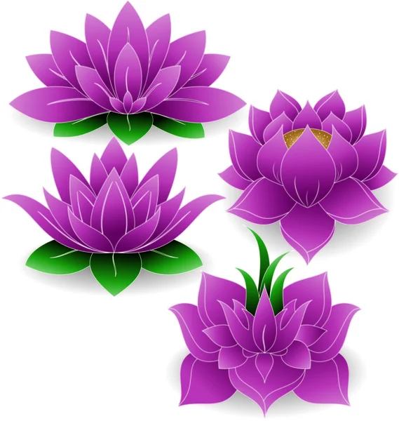 Lotus flower set — Stock Vector