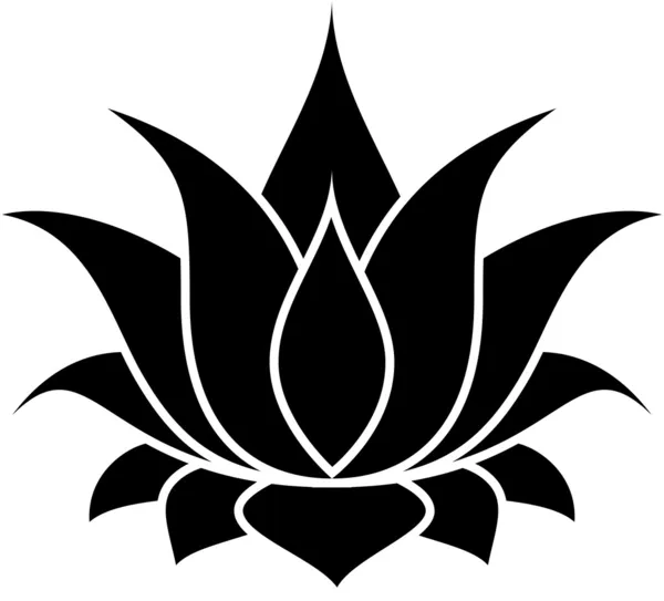 Kwiat lotosu — Wektor stockowy