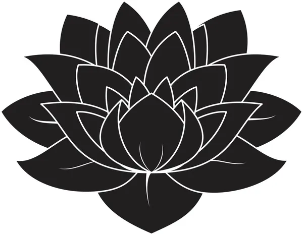 Lotus fleur — Image vectorielle