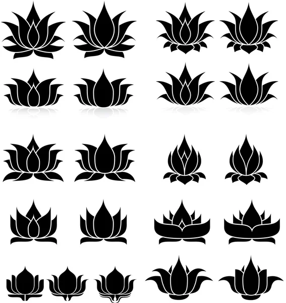 Lot de fleurs de lotus Illustration De Stock