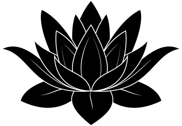 Lotus fleur Vecteurs De Stock Libres De Droits