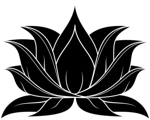 Lotus 038 Graphismes Vectoriels