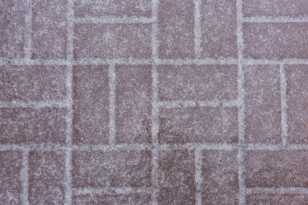 Ice Pavement Sidewalk Dangerous Weather Movement Pedestrians — Stock Photo, Image