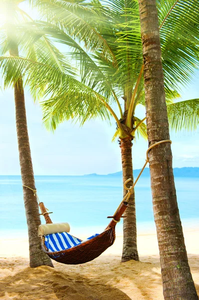 Bella spiaggia tropicale con palme e sabbia — Foto Stock