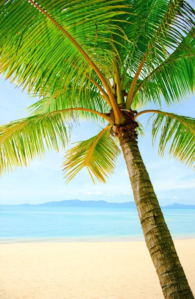 Tropical beach at Thailand - vacation background — Stock Photo, Image