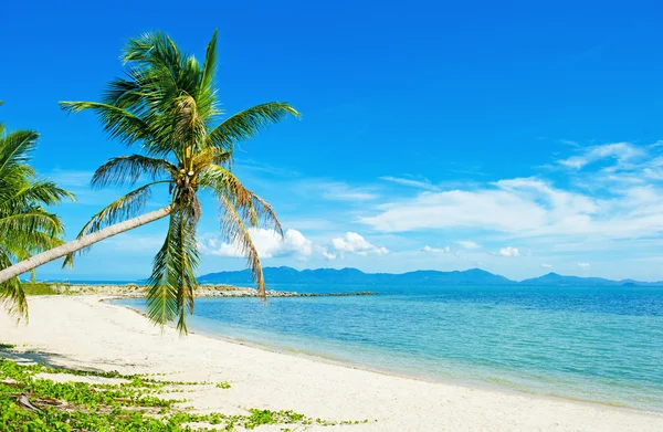 Tropical beach at Thailand - vacation background Stock Picture