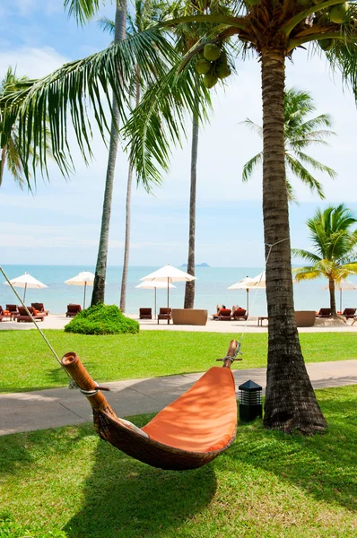 Empty hammock between palms trees — Stock Photo, Image