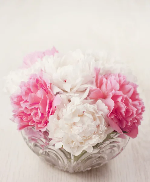 Peony flowers — Stock Photo, Image