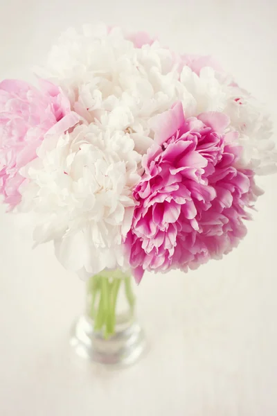 Peony flowers — Stock Photo, Image