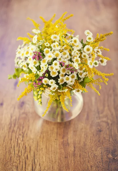 Wild flowers — Stock Photo, Image