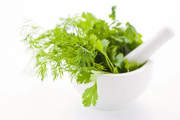 Mortar with herbs — Stock Photo, Image