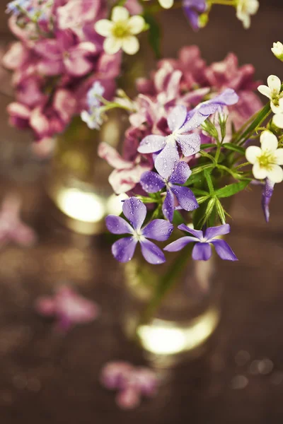 春の花の花束 — ストック写真