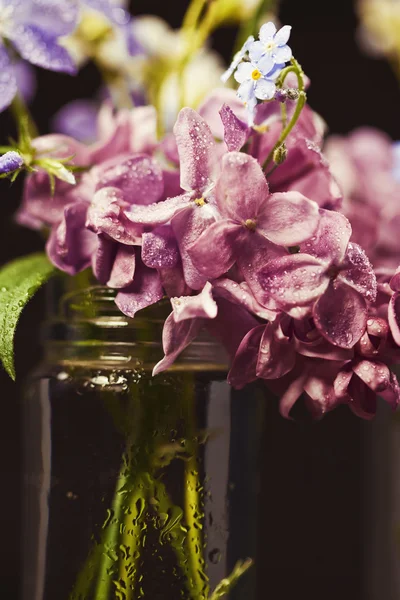 Bukett av vårblommor — Stockfoto