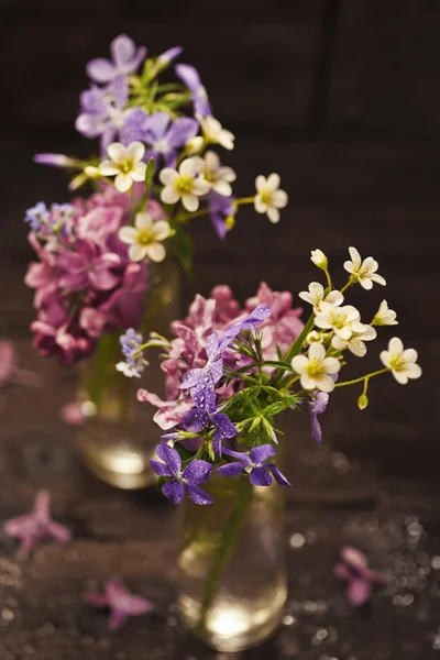 봄 꽃 다발 — 스톡 사진