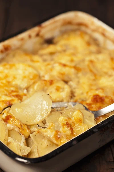 Kartoffelgratin — Stockfoto