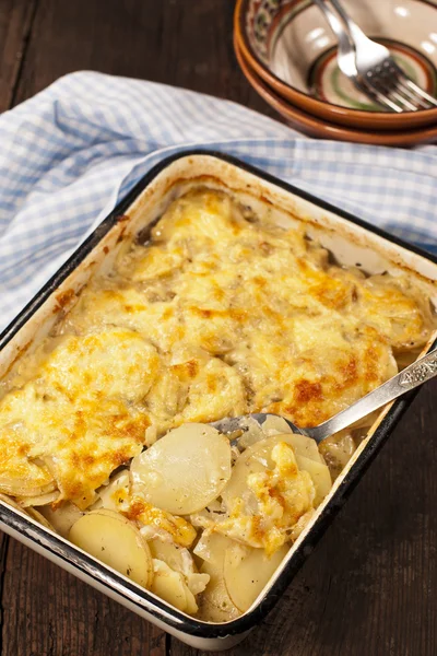 Potato gratin — Stock Photo, Image