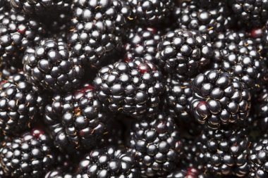 Blackberry