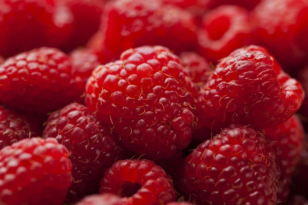 Raspberry — Stock Photo, Image