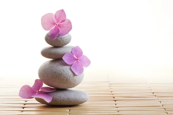 Piedras y flores zen — Foto de Stock