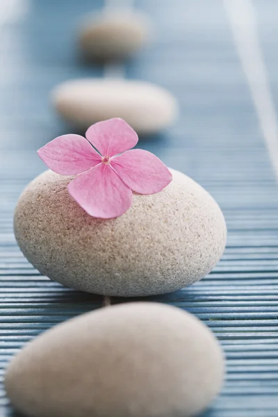 Zen πέτρες και ροζ λουλούδια — Φωτογραφία Αρχείου
