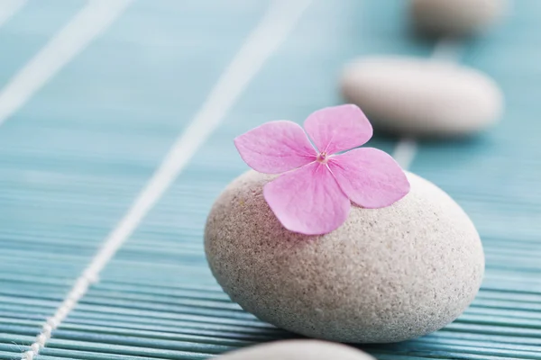 Piedras Zen y flores rosas —  Fotos de Stock