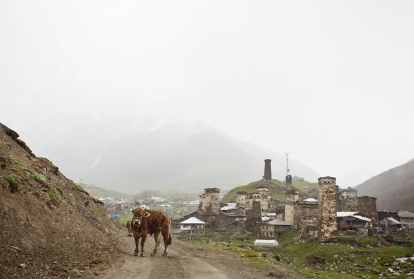 Village Ushguli en Haute-Svaneti en Géorgie — Photo