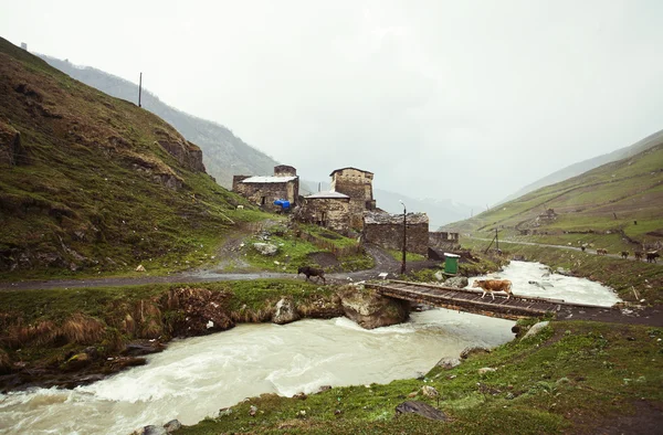 üst svaneti Gürcistan'ın Köyü ushguli