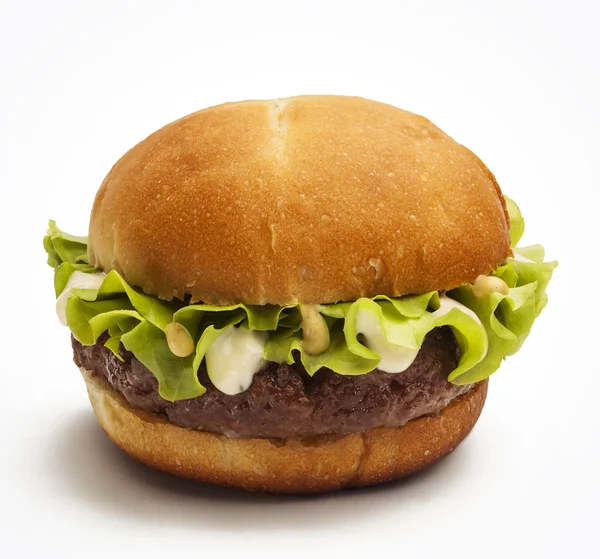 Hambúrguer suculento — Fotografia de Stock