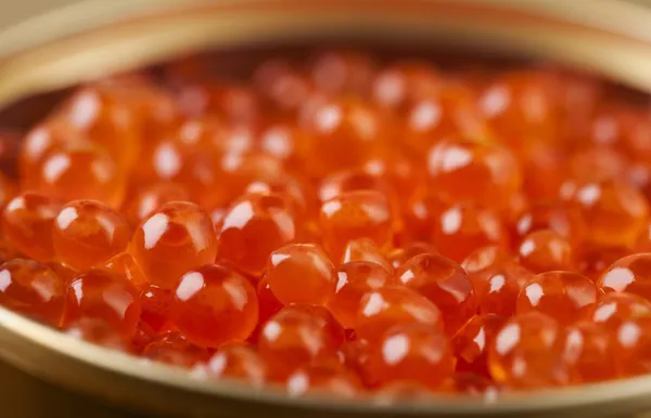 Caviar vermelho — Fotografia de Stock