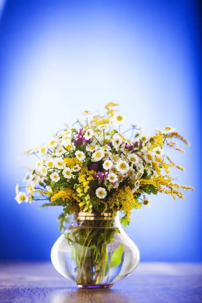 Buquê de flores silvestres — Fotografia de Stock