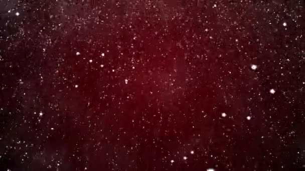 Fundo de Natal com flocos de neve - queda de neve — Vídeo de Stock