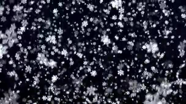 Nieve sobre fondo azul oscuro. Copos de nieve . — Vídeos de Stock