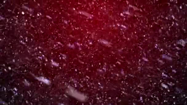 Χριστούγεννα φόντο με νιφάδες χιονιού - πέφτει χιόνι — Αρχείο Βίντεο