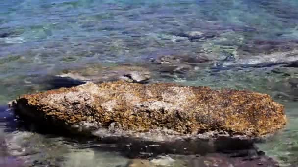 Stones and sea — Stock Video
