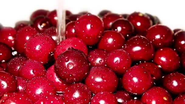 Cereza jugosa en agua — Vídeos de Stock