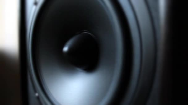 Acoustic system / speaker — Stock Video