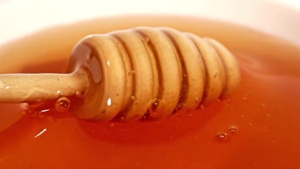 Свіжий мед — стокове відео