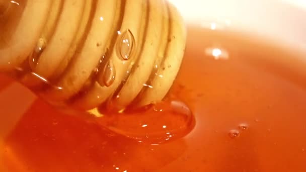 Fresh honey — Stock Video