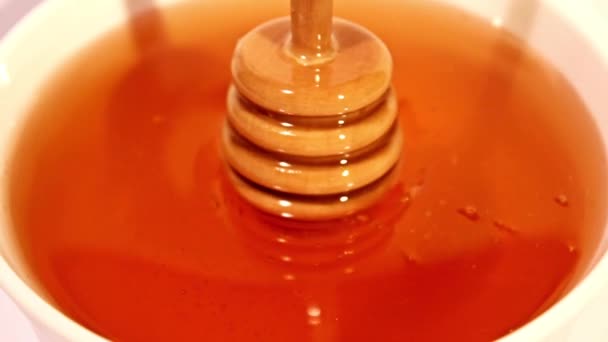 Φρέσκο μέλι — Αρχείο Βίντεο