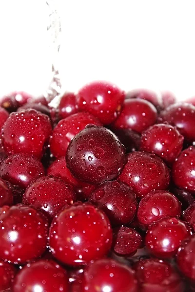 Juicy cherry in water — Stok Foto