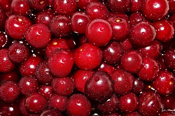 Juicy cherry in water — Stok Foto