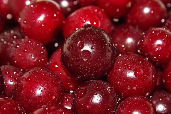 Juicy cherry in water — Stok Foto