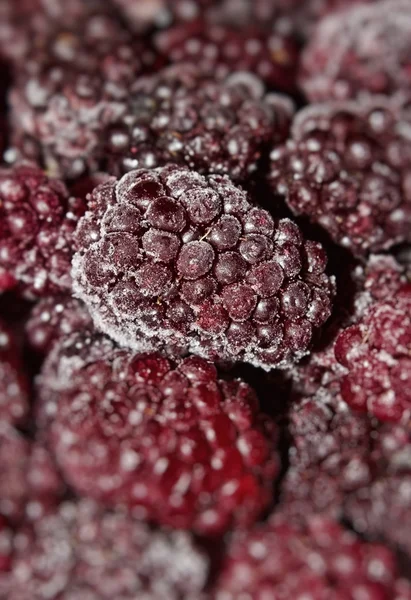多汁的黑莓手机 — 图库照片