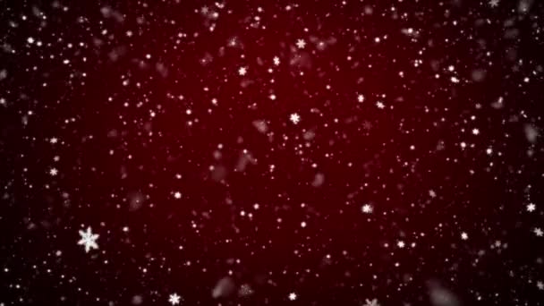 降雪、クリスマスの背景 — ストック動画