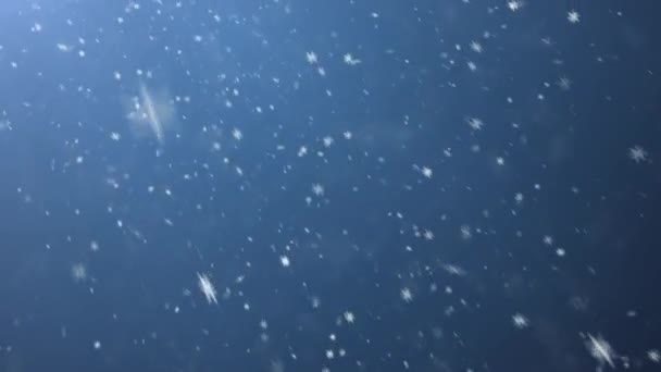 Nevadas, fondo de invierno — Vídeo de stock