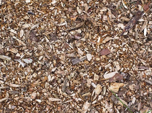 Wood, bark and sawdust — Stock Photo, Image