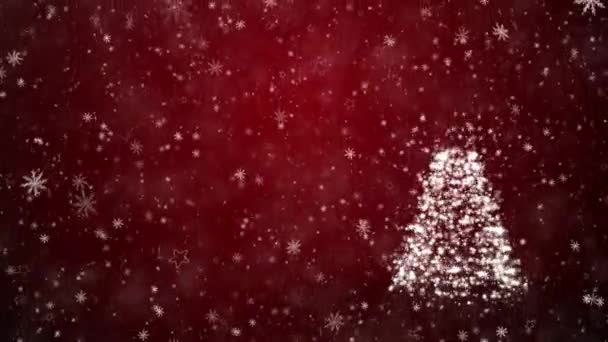 Вирощування Різдвяна ялинка — стокове відео
