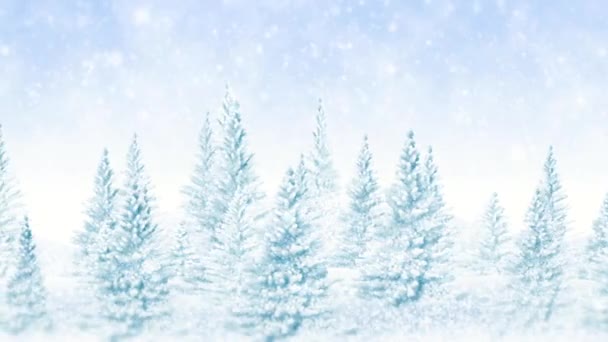 Winter frosty Christmas forest — Stockvideo