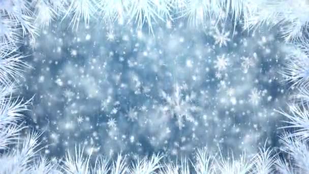 Noel ağacı dalı — Stok video