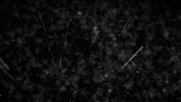 雨 — 图库视频影像